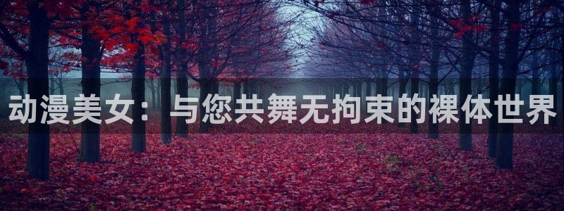 黑之契约者第二季樱花动漫